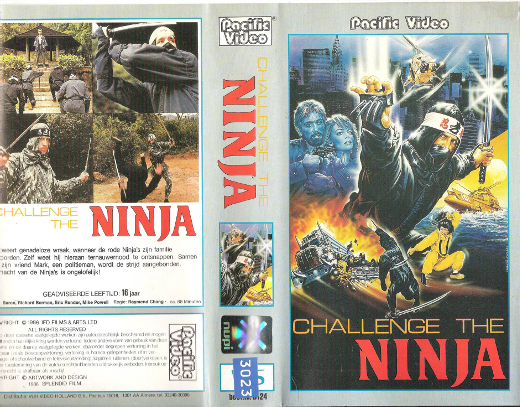 Challenge Of The Ninja